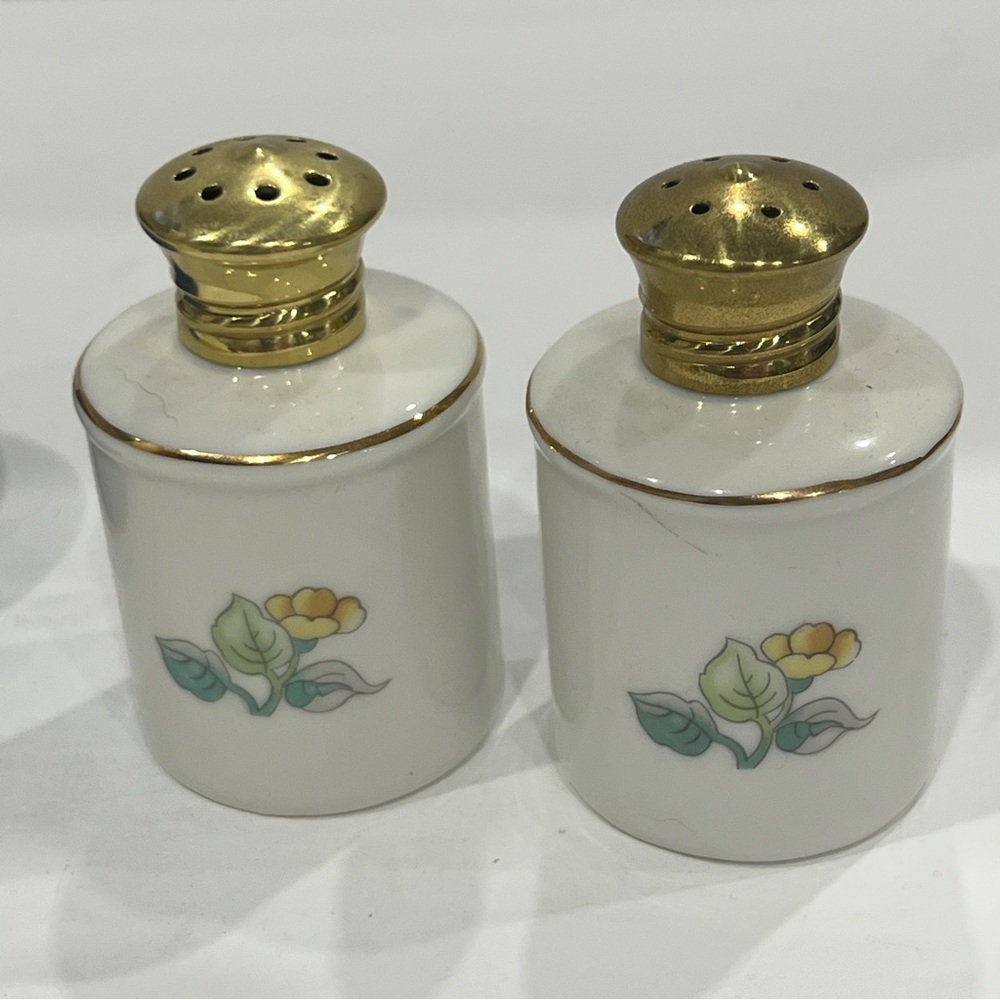 Vintage  Toscany Collection Japan Flower Salt & Pepper Shakers